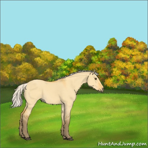 Horse Color:Silver Buckskin Dun 