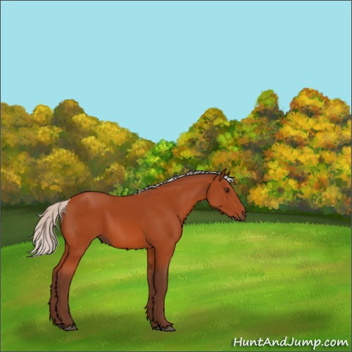 Horse Color:Silver Brown