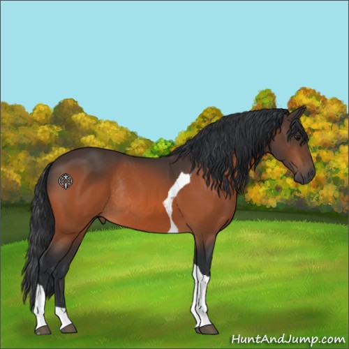 Horse Color:Bay Tobiano Rabicano 
