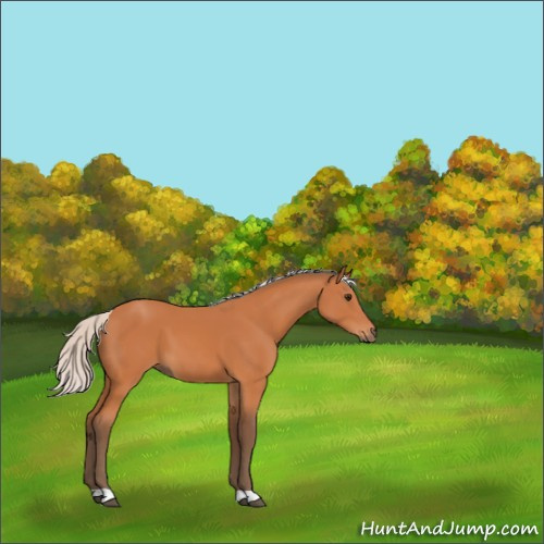 Horse Color:Silver Bay