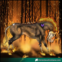 Horse Color:Buckskin Tobiano 