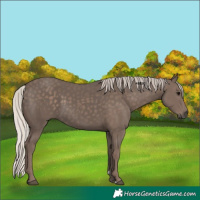 Horse Color:Silver Black Rabicano 