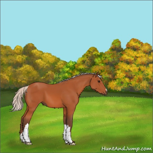 Horse Color:Silver Bay 