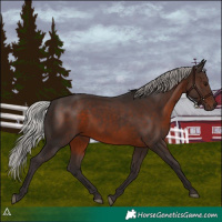 Horse Color:Silver Brown 