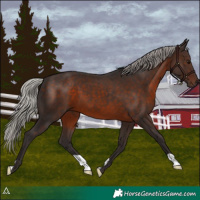 Horse Color:Silver Brown 