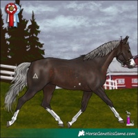 Horse Color:Silver Brown