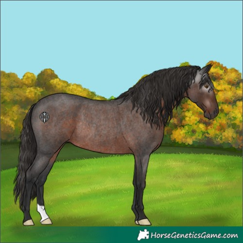 Horse Color:Gray Liver Red Roan Rabicano 