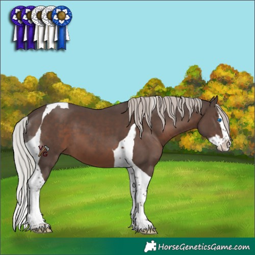 Horse Color:Silver Black Splash Tobiano 