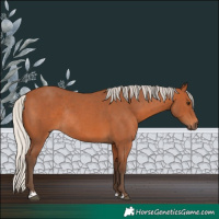 Horse Color:Silver Bay Roan Rabicano