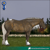 Horse Color:Silver Buckskin Tobiano 
