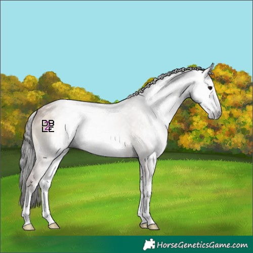 Horse Color:Gray White Spotted Classic Champagne Onyx