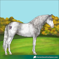 Horse Color:White Spotted Midnight Silver Classic Champagne Ice Roan Onyx Splash 