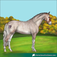 Horse Color:Silver Blue Onyx Roan 