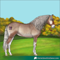 Horse Color:Silver Blue Onyx Roan 