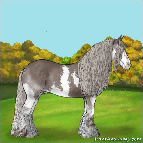 Horse Color:Silver Black Sabino Splash Tobiano