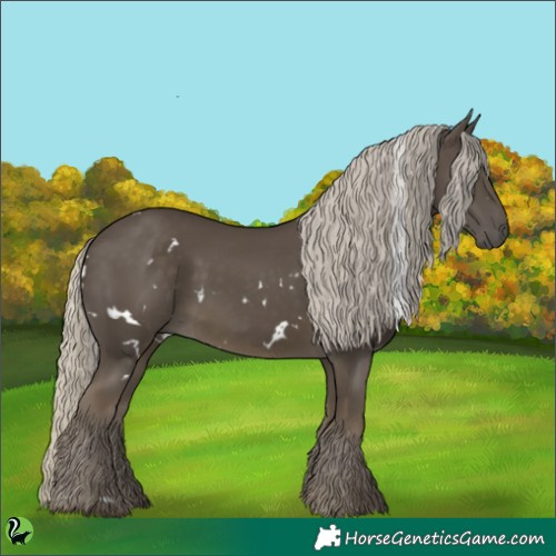 Horse Color:White Spotted Silver Smoky Black
