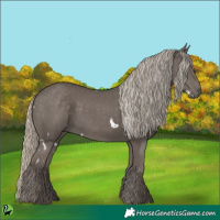 Horse Color:White Spotted Silver Smoky Black