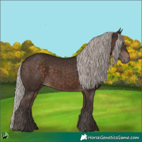 Horse Color:Silver Brown