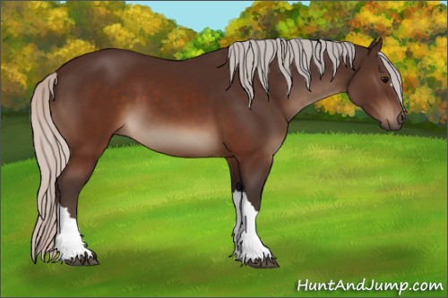 Horse Color:Silver Brown 