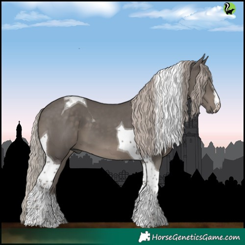 Horse Color:Silver Black Tobiano 