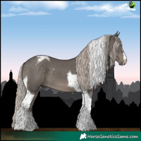 Horse Color:Silver Black Tobiano 