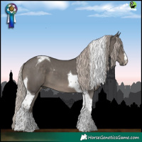 Horse Color:Silver Black Tobiano 