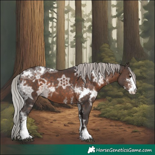 Horse Color:Silver Brown Ice Sabino 