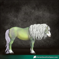 Horse Color:Watercolor Silver Brown Pearl Sabino 