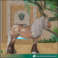 Horse Color:White Spotted Silver Brown Dun Rabicano