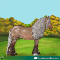 Horse Color:White Spotted Silver Brown Dun Rabicano 