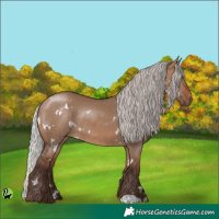 Horse Color:White Spotted Silver Brown Dun Rabicano 