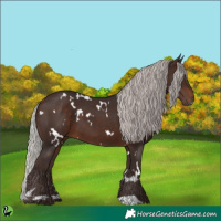 Horse Color:White Spotted Silver Brown 