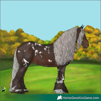 Horse Color:White Spotted Silver Brown 