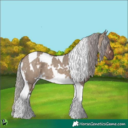 Horse Color:White Spotted Silver Brown Dun Tobiano 