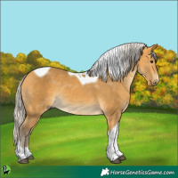 Horse Color:Silver Buckskin Tobiano 