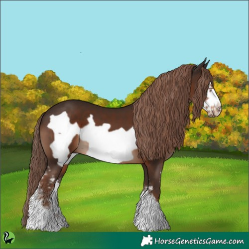 Horse Color:Liver Chestnut Sabino Frame 