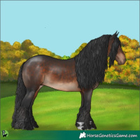 Horse Color:Brown Rabicano 