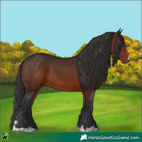 Horse Color:Brown 