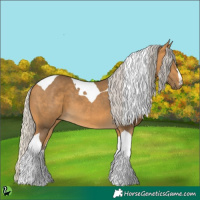 Horse Color:Silver Buckskin Tobiano 