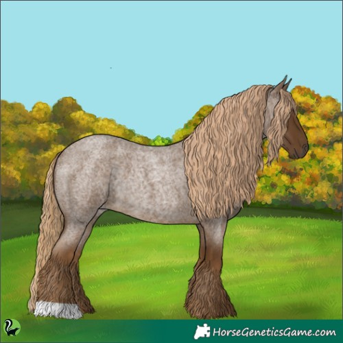 Horse Color:Chocolate Palomino Roan Rabicano 
