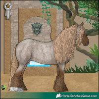 Horse Color:Chocolate Palomino Roan Rabicano 