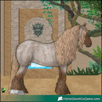 Horse Color:Chocolate Palomino Roan Rabicano 