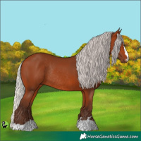 Horse Color:Silver Bay Rabicano 