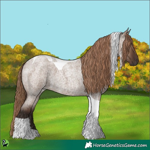Horse Color:Liver Red Dun Roan Tobiano