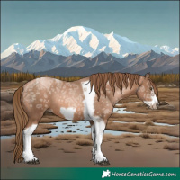 Horse Color:Liver Chestnut Ice Pearl Tobiano Frame Rabicano 