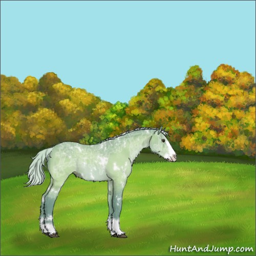 Horse Color:Watercolor White Spotted Silver Brown Ice Sabino Splash 