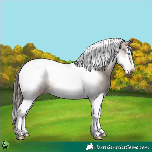 Horse Color:Liver Red Dun Sabino Splash Tobiano Frame Appaloosa 