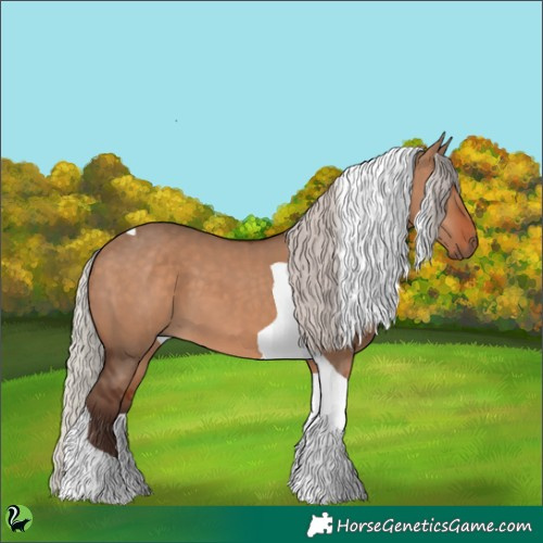 Horse Color:Silver Bay Dun Tobiano 