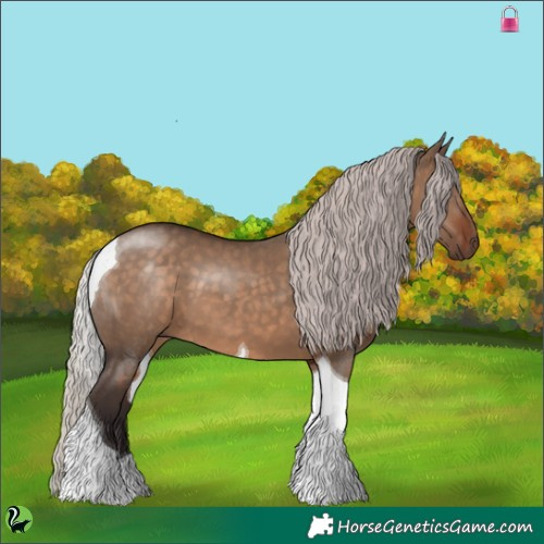 Horse Color:Silver Brown Dun Tobiano 