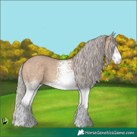 Horse Color:White Spotted Silver Brown Dun 